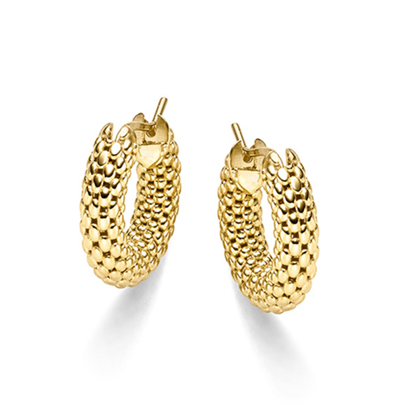 anillo